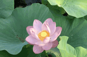 水處理設(shè)備廠(chǎng)家淺談水處理設(shè)備的安裝流程